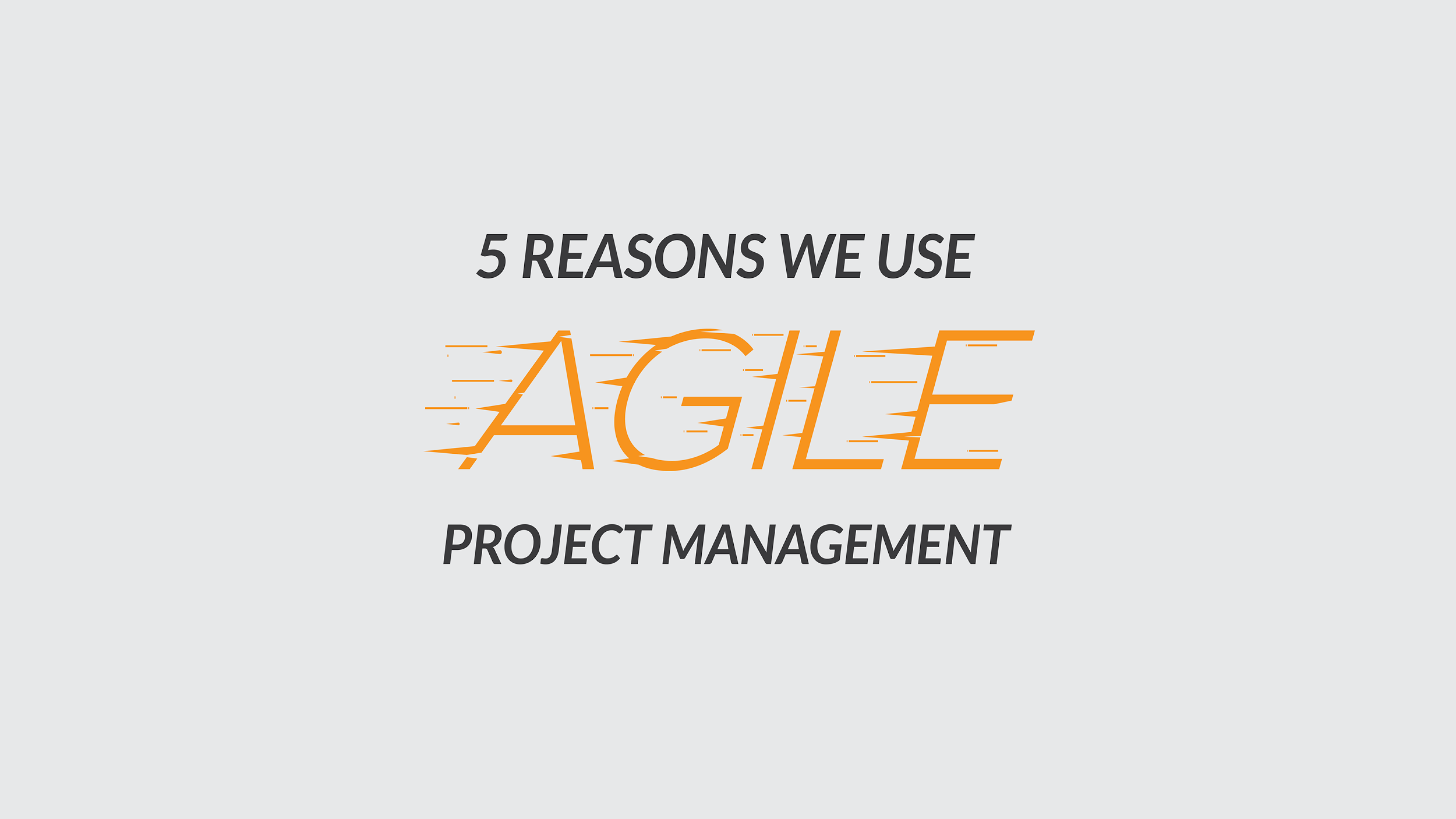 Agile Project Management